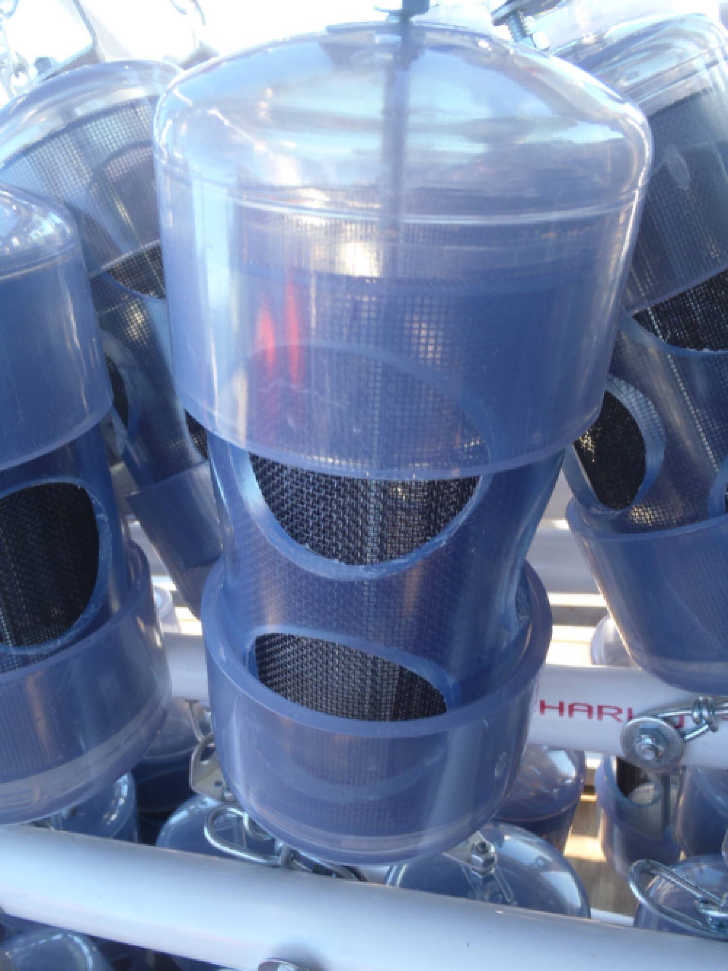 Microplastics sampling arrays prior to Muskegon Lake incubation.